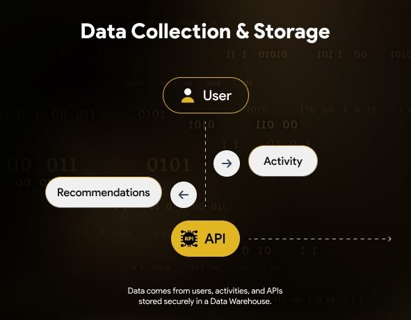 Data Collection & Storage – User activity, APIs & real-time data. Stored securely in data warehouse.